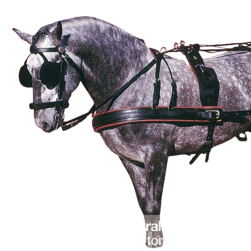 ENGANCHE PECHOPETRAL MARATÓN DOBLE NEGRO - Tienda Hípica Online | D’Hispania ®