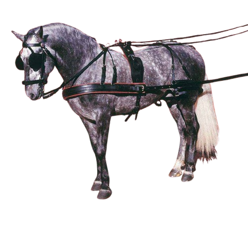 ENGANCHE PECHOPETRAL MARATÓN SENCILLO NEGRO - Tienda Hípica Online | D’Hispania ®