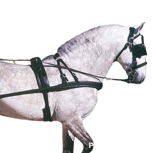 ENGANCHE PECHOPETRAL PVC/NYLON DOBLE 510AD - Tienda Hípica Online | D’Hispania ®