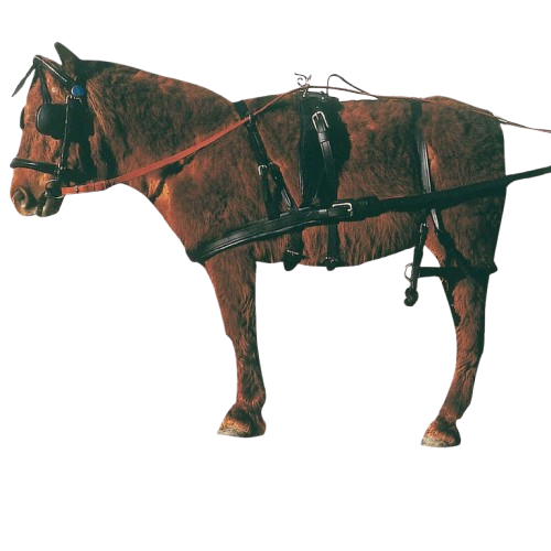 ENGANCHE PECHOPETRAL PVC/NYLON SENCILLO MINISHETLAND - Tienda Hípica Online | D’Hispania ®