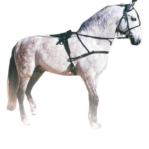 ENGANCHE TROTÓN PVC/NYLON 8009 NEGRO - Tienda Hípica Online | D’Hispania ®