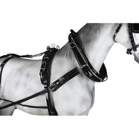 Enganche Collaron Charol - Tienda Hípica Online | D’Hispania ®