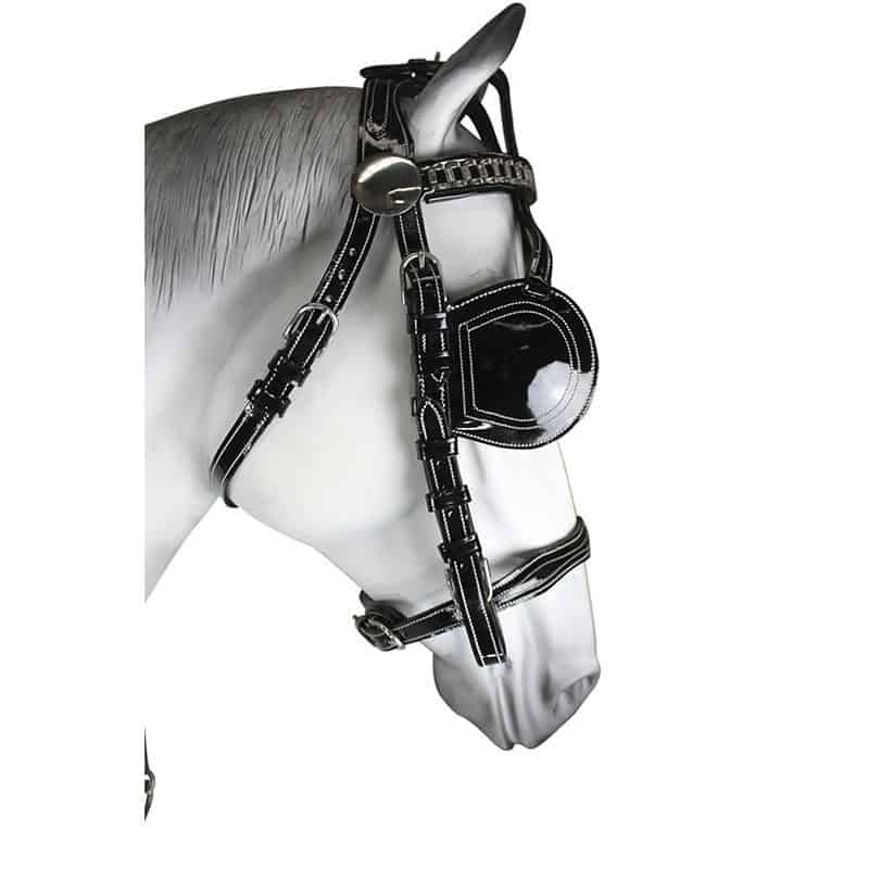 Enganche Collaron Charol - Tienda Hípica Online | D’Hispania ®