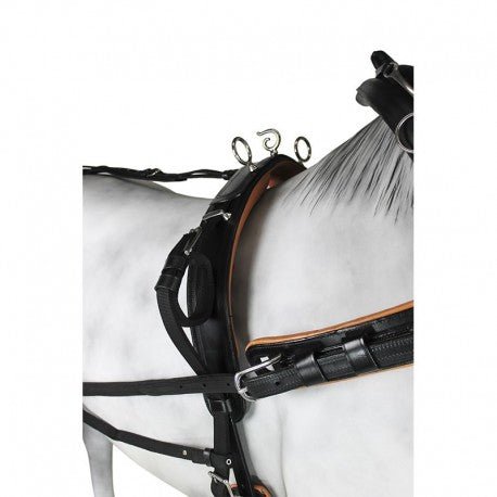 Enganche Collerón Cuero/Nylon - Tienda Hípica Online | D’Hispania ®