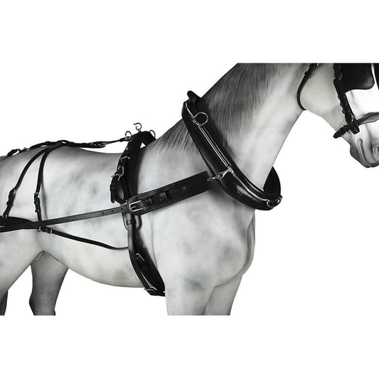 Enganche Colleron Diplomatico - Tienda Hípica Online | D’Hispania ®