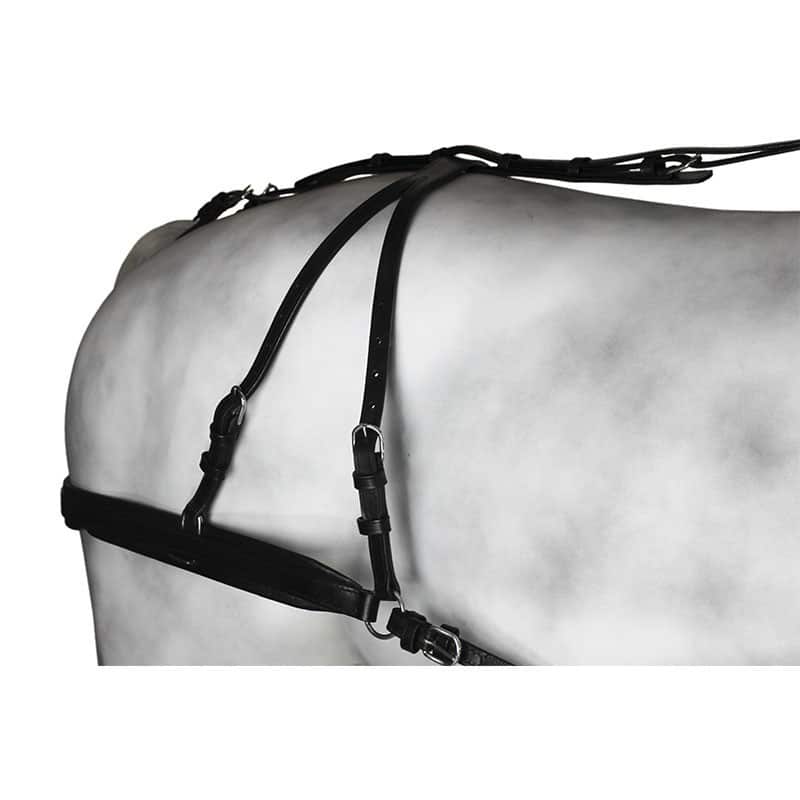 Enganche Colleron Diplomatico - Tienda Hípica Online | D’Hispania ®