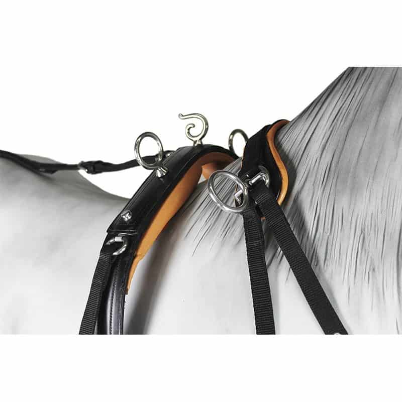 Enganche Pecherín Cuero/Nylon - Tienda Hípica Online | D’Hispania ®