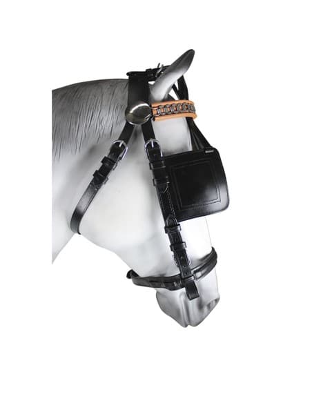 Enganche Sencillo Collarón Inglés Cuero/Nylon - Tienda Hípica Online | D’Hispania ®