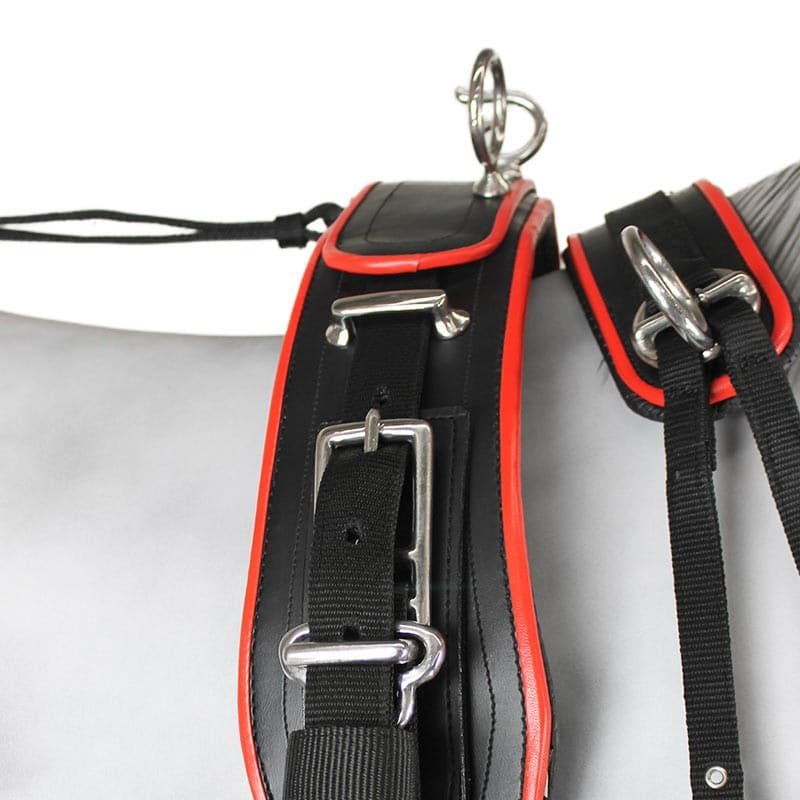 Enganche Sintético Combinado Pecherín Anatómico - Tienda Hípica Online | D’Hispania ®