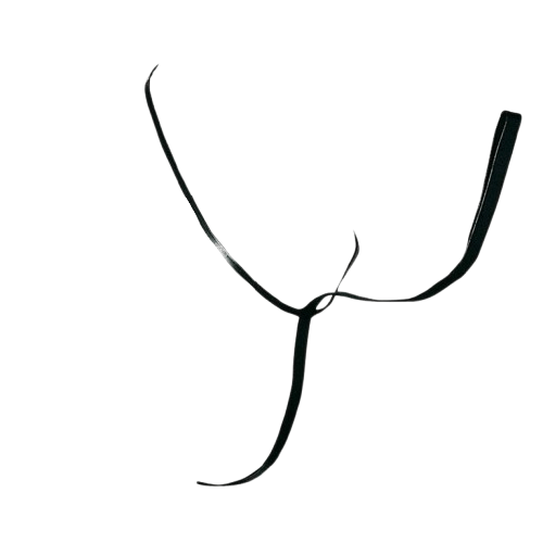 GAMARRA INGLESA CUERO CASTECUS - Tienda Hípica Online | D’Hispania ®