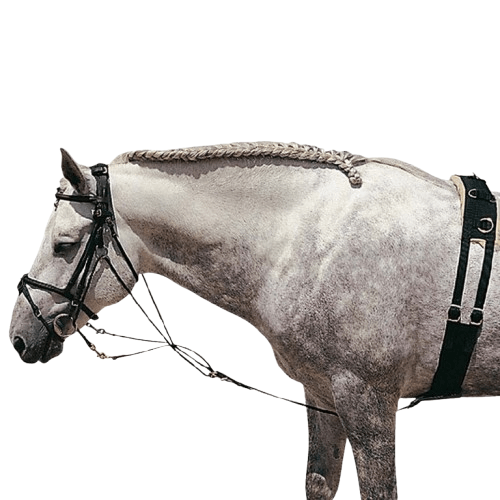 GOGUE CUERO CASTECUS - Tienda Hípica Online | D’Hispania ®