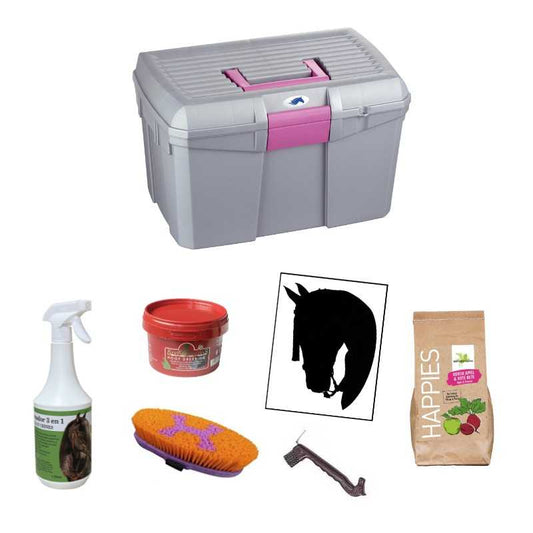 MALETA PARA ÚTILES DE LIMPIEZA COMPLETA PREMIUM - Tienda Hípica Online | D’Hispania ®