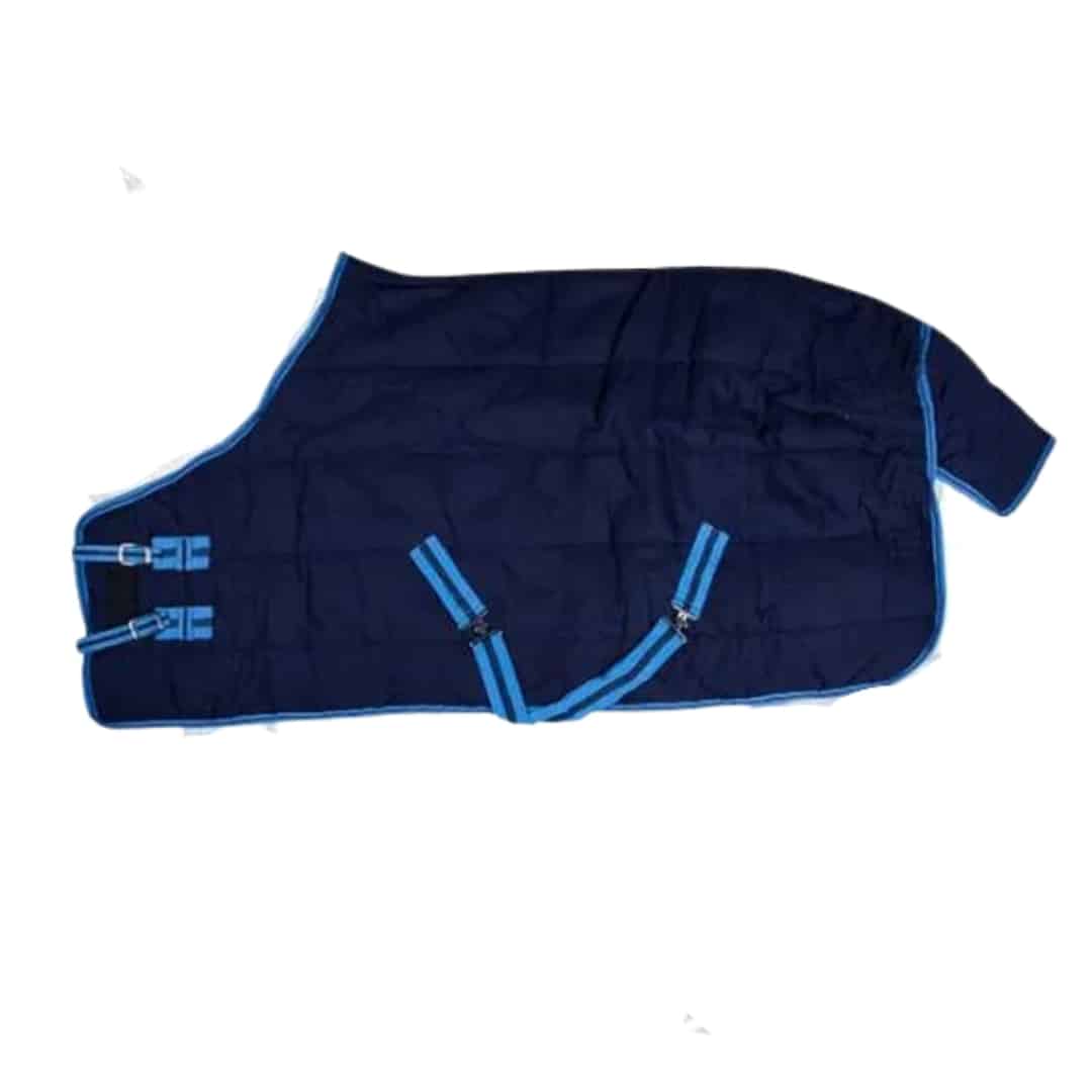 MANTA INVIERNO ECO RG-4319 - Protección Térmica Superior - Tienda Hípica Online | D’Hispania ®