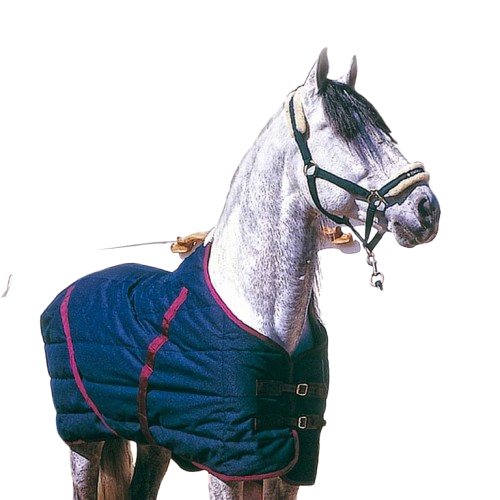 MANTA INVIERNO NYLON IMPERMEABLE 4973 - Tienda Hípica Online | D’Hispania ®