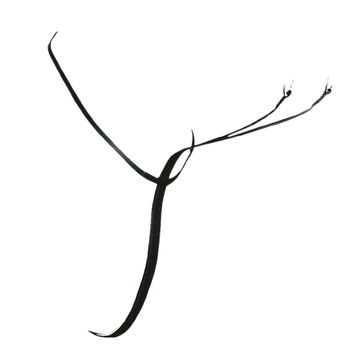 MARTINGALA CUERO ALOMADA 1903 - Tienda Hípica Online | D’Hispania ®