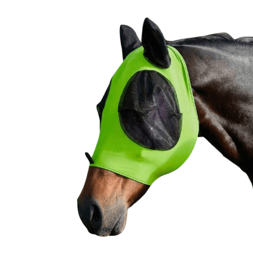 MOSQUERO LICRA ELÁSTICA 290103 - Tienda Hípica Online | D’Hispania ®