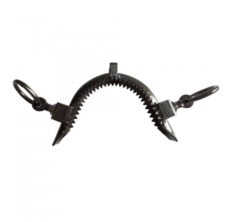 MUSEROLA VAQUERA INOX ENVEJECIDO PILARES CORTOS - Tienda Hípica Online | D’Hispania ®