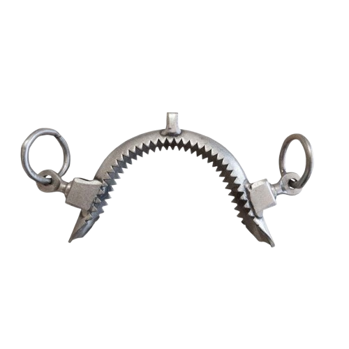 MUSEROLA VAQUERA TORNO PILARES CORTOS INOX - Tienda Hípica Online | D’Hispania ®