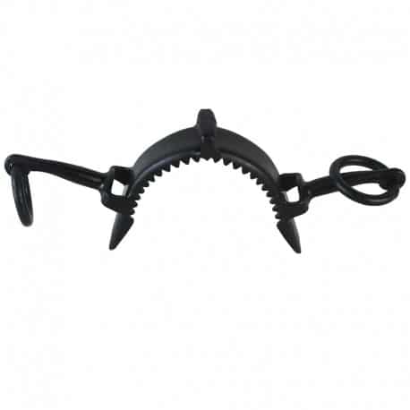 Muserola Fragua Inox. Pavonada 2 Pilares con Pasadores Metalicos - Tienda Hípica Online | D’Hispania ®