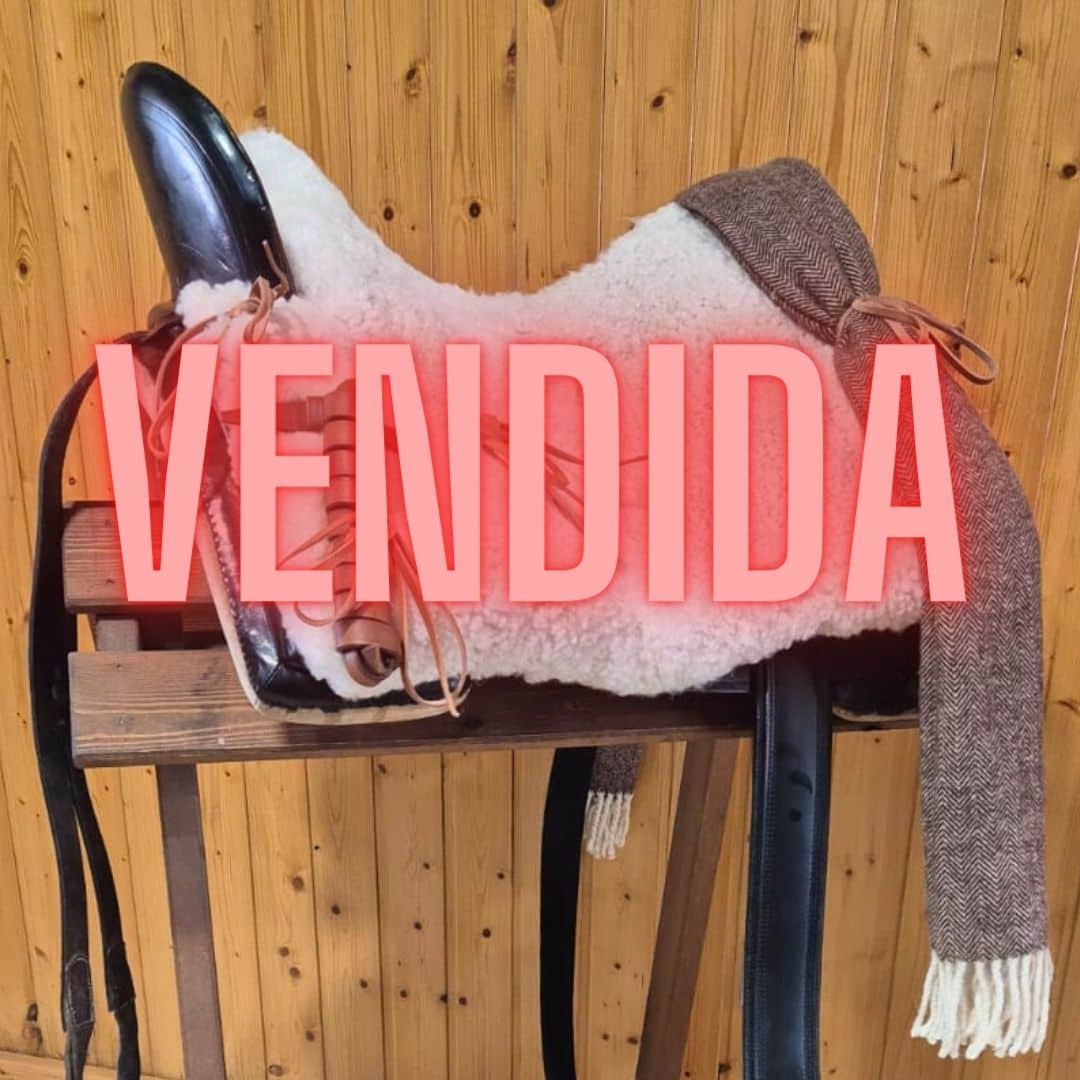 Ocasión Silla Vaquera Fibra Lucas - Rallada Usada Revisada 50cm Negro - Tienda Hípica Online | D’Hispania ®