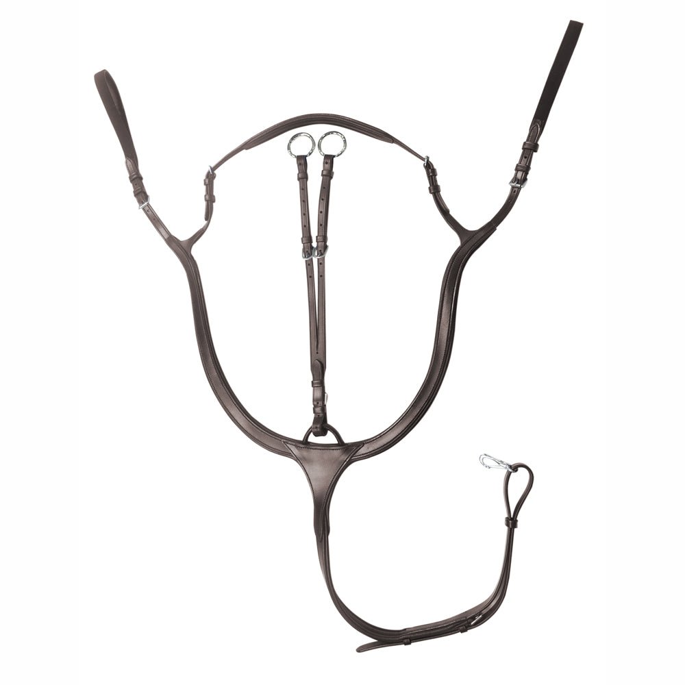 PECHOPETRAL CON MARTINGALA SLT-255 - Tienda Hípica Online | D’Hispania ®