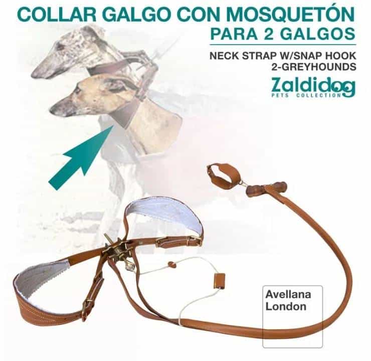 PERRO COLLAR GALGO CON MOSQUETÓN PARA 2 GALGOS - Tienda Hípica Online | D’Hispania ®