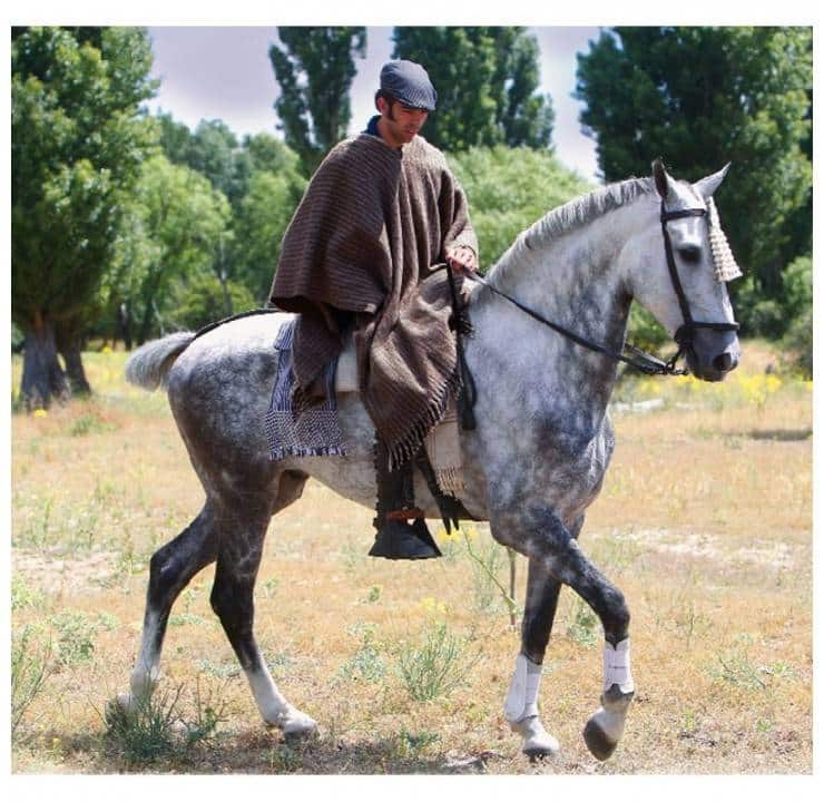 PONCHO ROCIERO DE LANA ECO - Tienda Hípica Online | D’Hispania ®
