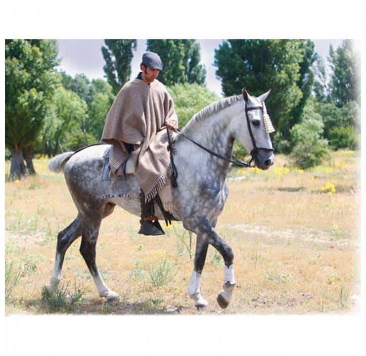 PONCHO ROCIERO DE LANA EXTRA - Tienda Hípica Online | D’Hispania ®