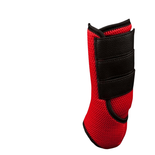 PROTECTOR CREOLE TRANSPIRABLE - Tienda Hípica Online | D’Hispania ®