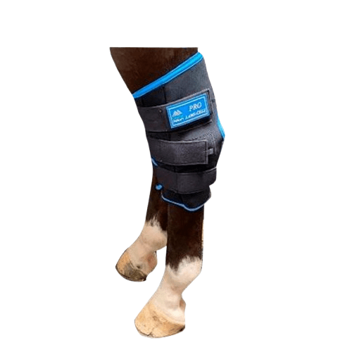 PROTECTOR GEL FRÍO PARA CORVEJÓN 4812639F-K/B(LC PAR - Tienda Hípica Online | D’Hispania ®