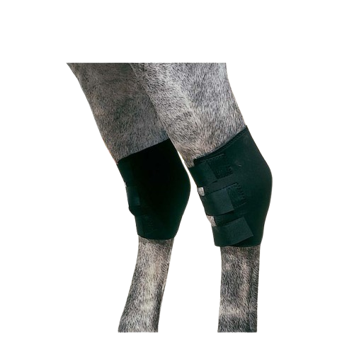 PROTECTOR NEOPRENO TF CORVEJÓN TN-1506 NEGRO - Tienda Hípica Online | D’Hispania ®