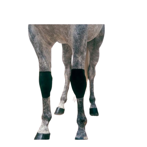 PROTECTOR NEOPRENO TF RODILLA TN-1508 NEGRO - Tienda Hípica Online | D’Hispania ®