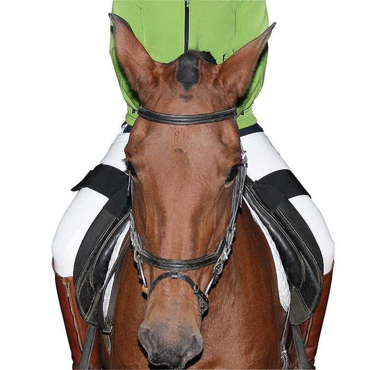 RIDING SECURITY BAND - Tienda Hípica Online | D’Hispania ®