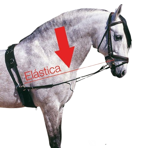 RIENDAS ATAR ELÁSTICA 1836 - Tienda Hípica Online | D’Hispania ®