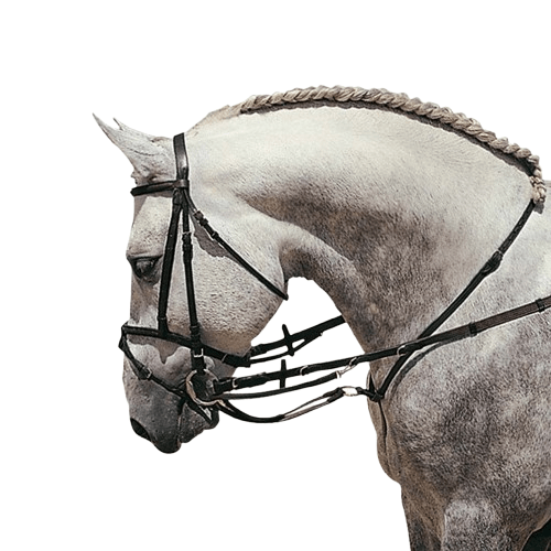 RIENDAS LEDERING CON MARTINGALA 1814 - Tienda Hípica Online | D’Hispania ®