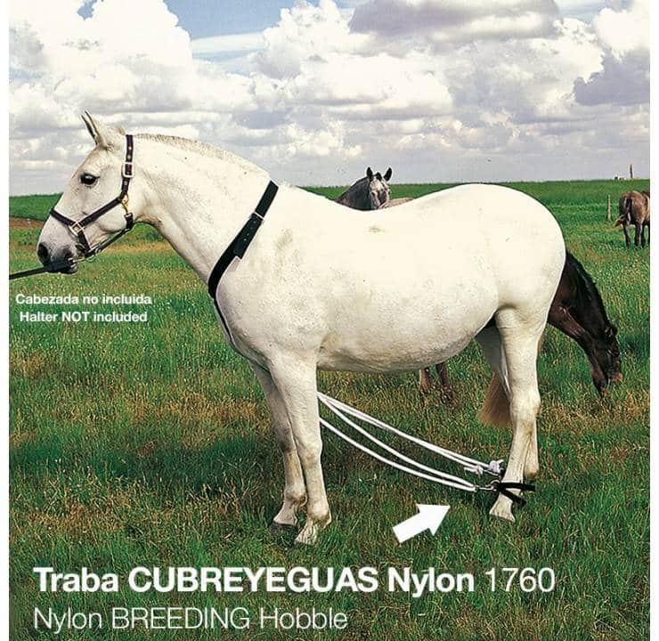 TRABA CUBREYEGUAS NYLON 1760 - Tienda Hípica Online | D’Hispania ®