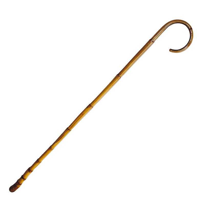 Bastón de junco con porra natural fina, accesorio hípico de Tienda Hípica Online, ideal para regalos y complementos ecuestres.