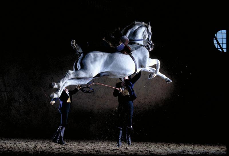 Alta Escuela Española: La Doma Clásica de la Real Escuela Andaluza del Arte Ecuestre