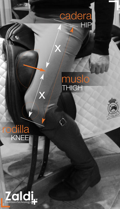 Guía Completa para Elegir tu Silla de Montar 2025 - Doma, Salto y Vaquera