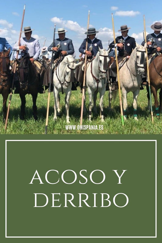 Acoso y Derribo - Tienda Hípica Online | D’Hispania ®