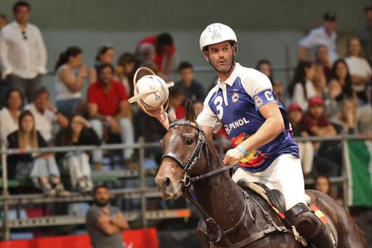 Cómo Jugar al Horse Ball - Guía Completa del Deporte Ecuestre 2025 - Tienda Hípica Online | D’Hispania ®