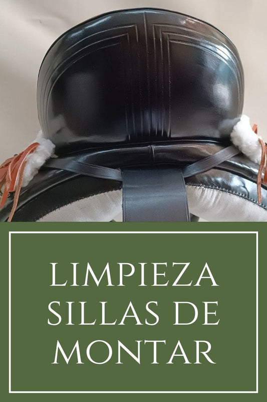 Cómo limpiar la silla de montar - Guía paso a paso D'Hispania