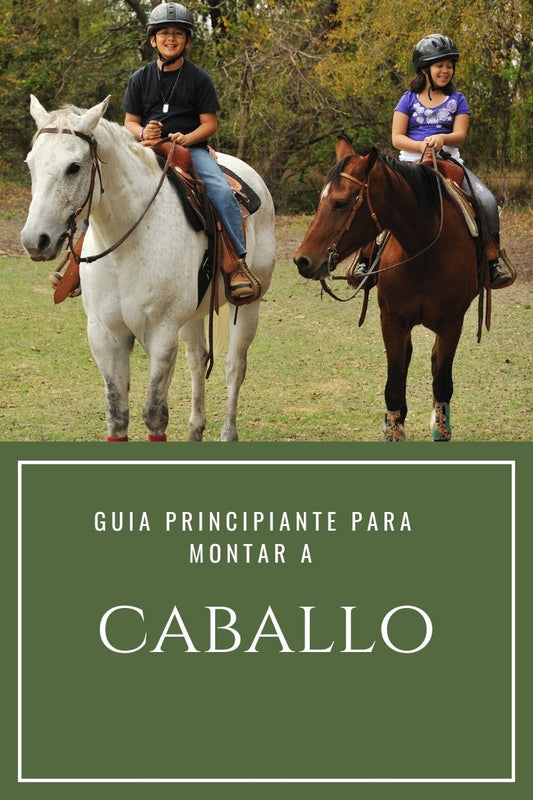 ¿Como montar a caballo por primera vez? - Tienda Hípica Online | D’Hispania ®