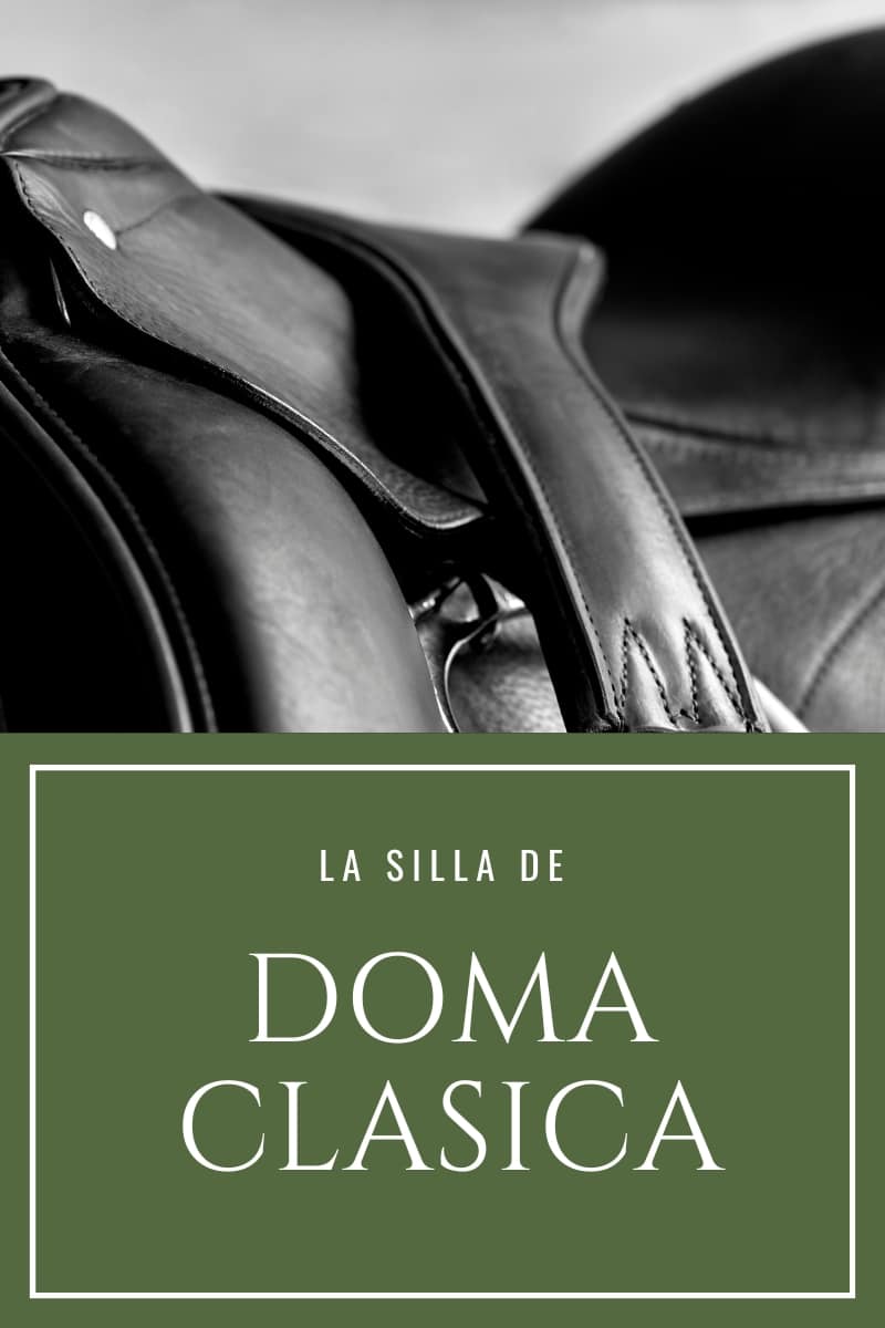 Cómo Seleccionar la Mejor Silla de Montar para Doma Clásica - Tienda Hípica Online | D’Hispania ®
