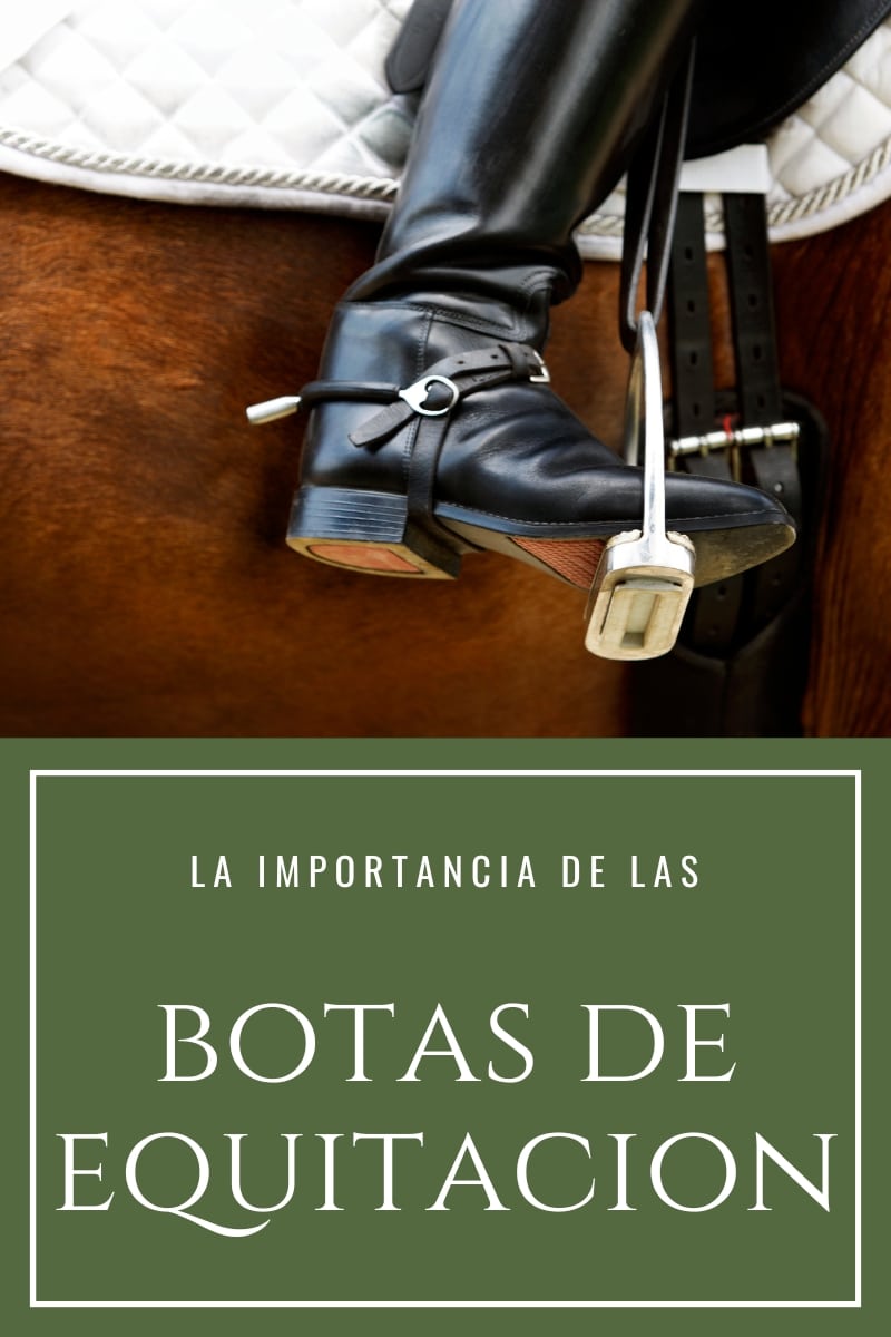 Guía para comprar botas de montar perfectas - D'Hispania