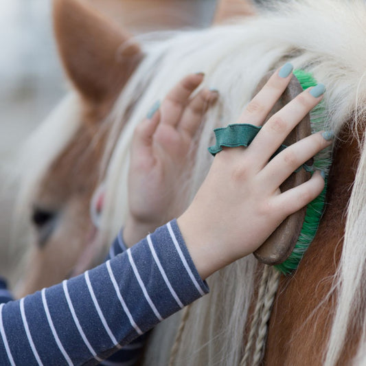 Cuidado del Caballo: Guía Completa de Higiene y Salud Ecuestre - Tienda Hípica Online | D’Hispania ®