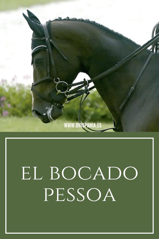 Bocado Pessoa para caballos - Tipos, diseño y cómo elegirlo D'Hispania