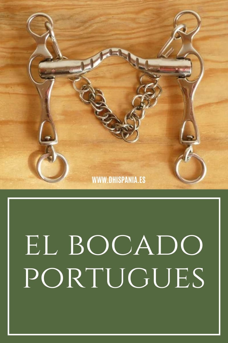 Bocado portugués para caballos - Tipos, historia y cómo elegirlo D'Hispania