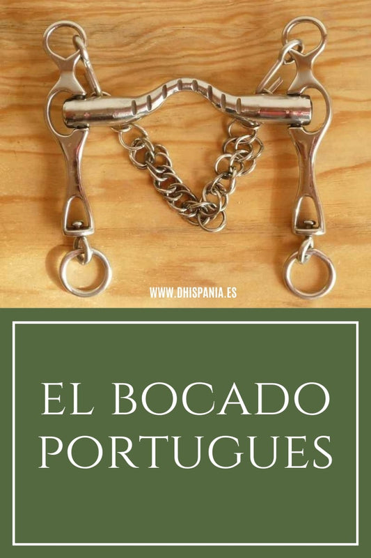 Bocado portugués para caballos - Tipos, historia y cómo elegirlo D'Hispania