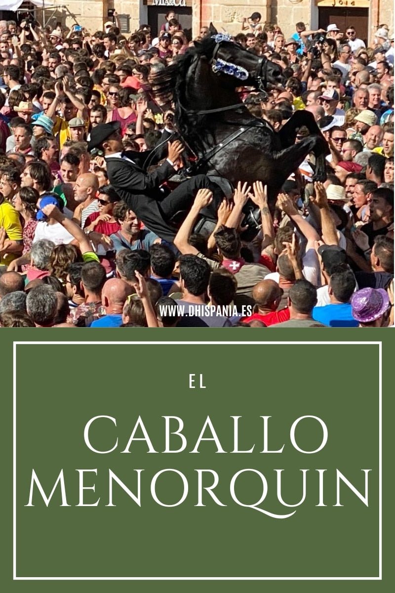 Caballo menorquín - Historia, características y fiestas de Sant Joan D'Hispania
